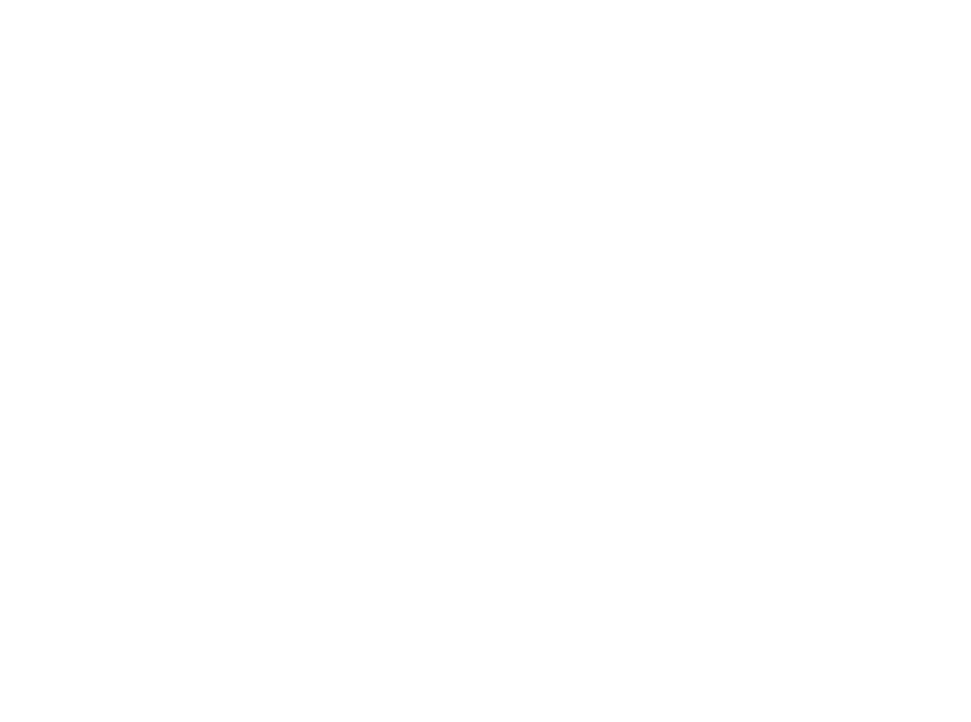 Guide Dogs