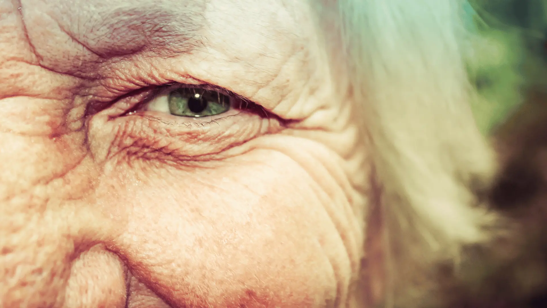 Close-up of the face of an older person